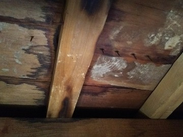 雨漏りによって腐朽した屋根裏の木材