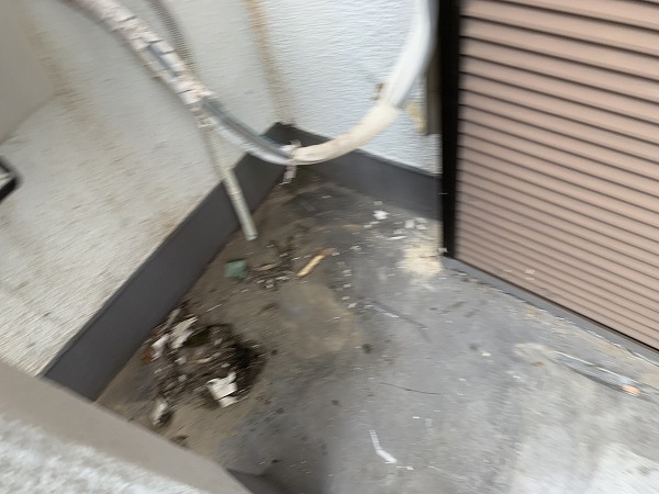 清掃したゴミ
