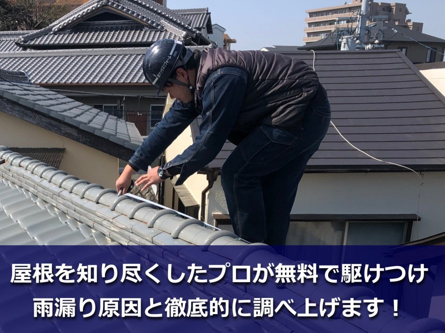 屋根の調査中
