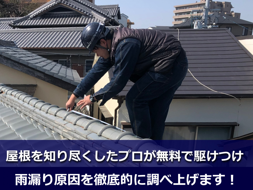 屋根の調査中