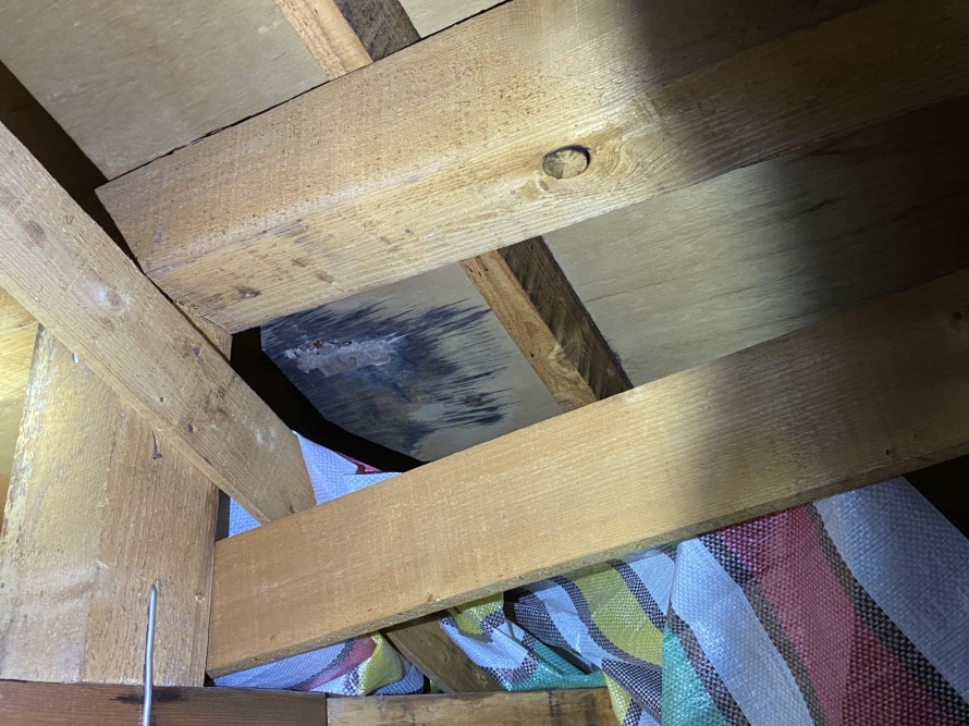 雨漏り屋根裏点検