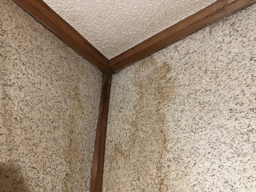 雨漏りによってシミができた壁
