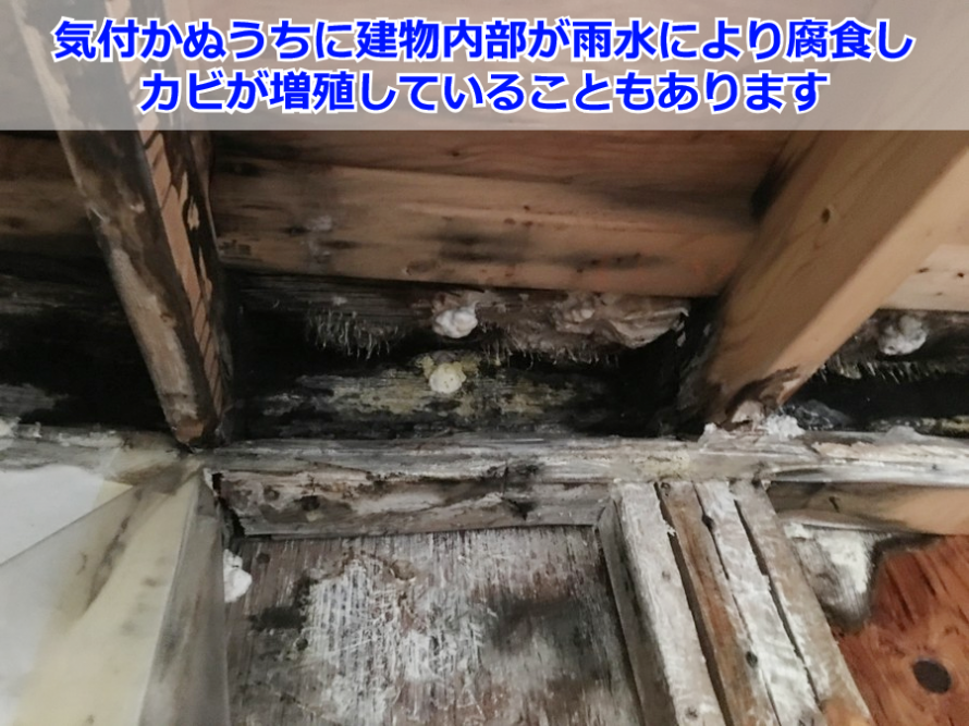 雨水浸入によって腐食した建物内部の木材