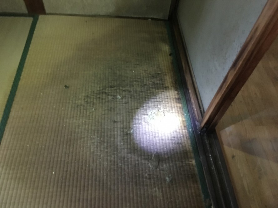 雨漏りによって傷んだ畳