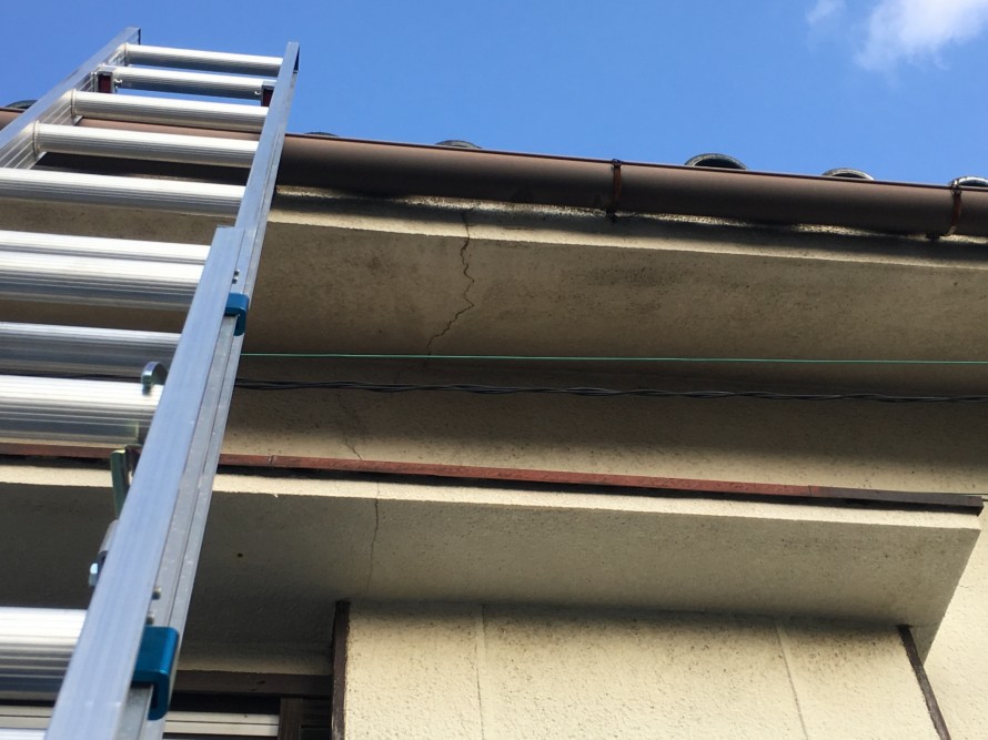 はしごをかけて調査開始