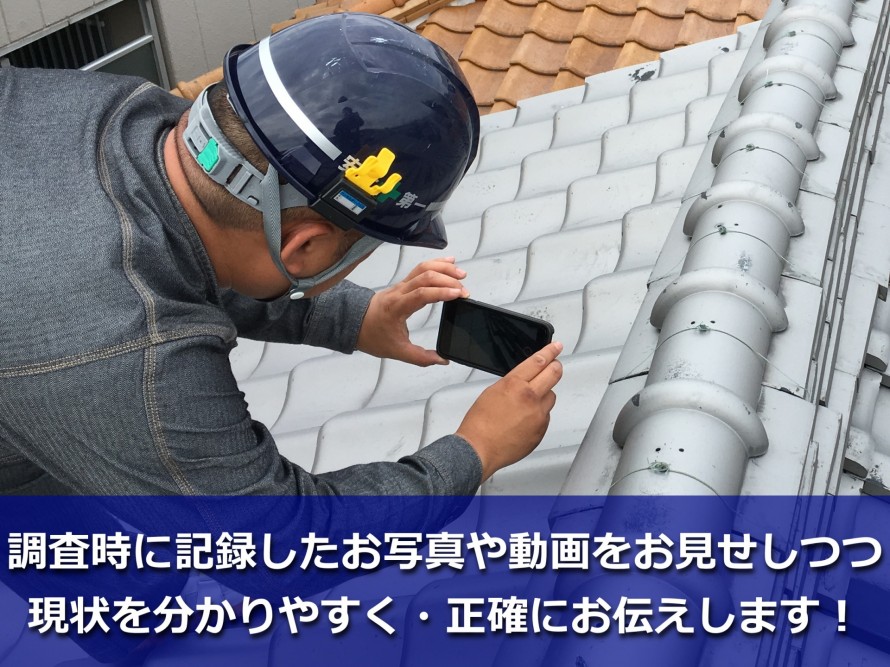 無料調査の様子