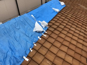 箕面市葺き替え前の屋根