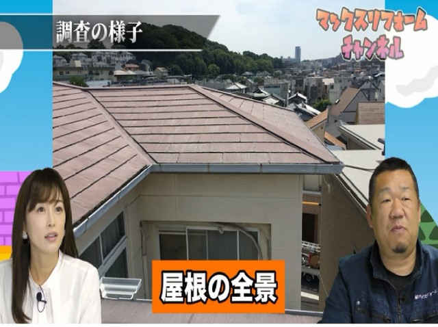 屋根の全景