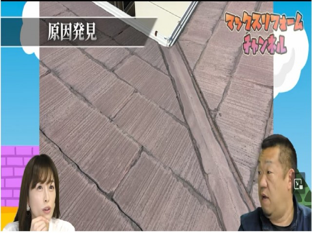 屋根上の黒ずみ