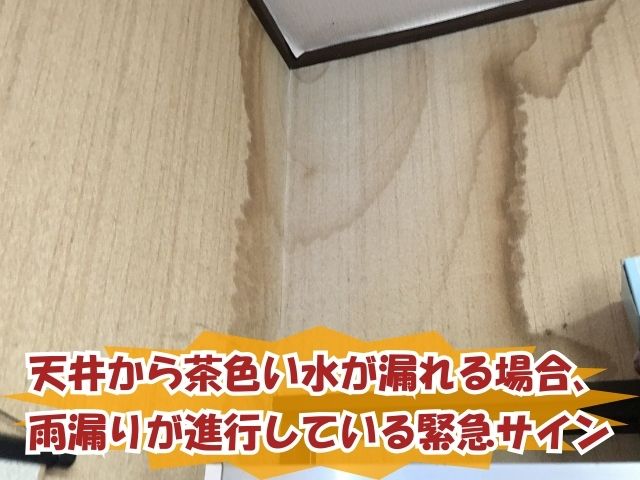壁紙に滲む茶色いシミ