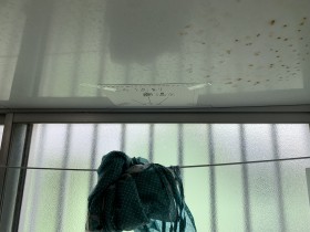 雨漏り発生箇所