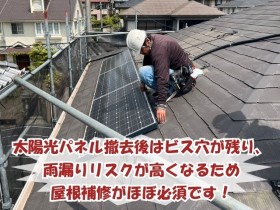 屋根の太陽光パネル撤去後に屋根補修が必要な理由