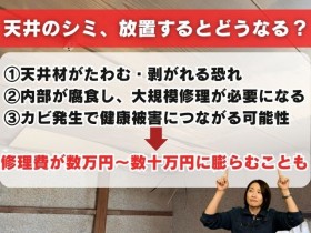 天井シミの放置リスク
