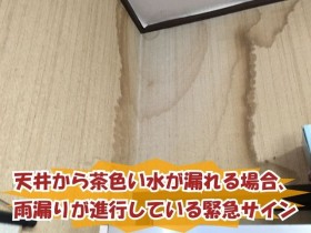壁紙に滲む茶色いシミ